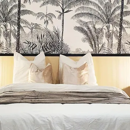 T2 Cosy Au Coeur De * Montélimar